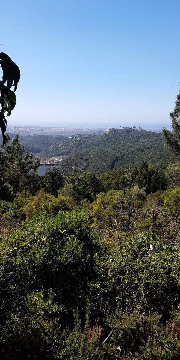 Barragem do Rio da Mula Sintra